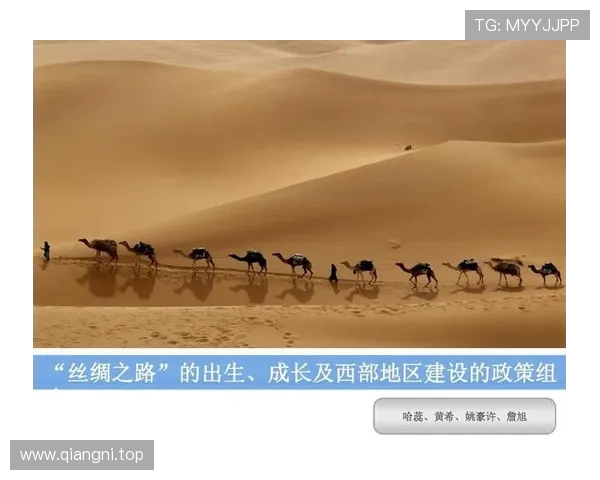 舒城姚明珠的故事与传承:探寻这位杰出人物的成长与成就之路